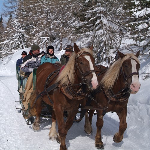 trattlerhof-Pferdekutschefahrten im Winter.jpg